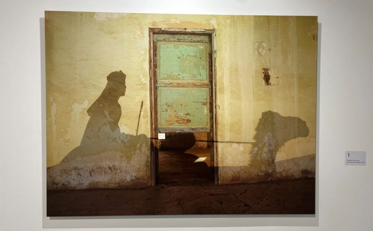 'Generations' at Abu Dhabi's Green Art Expo explores heritage, inspires change