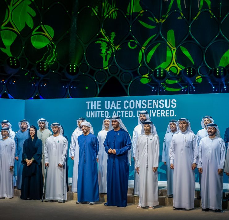 COP28 Higher Committee