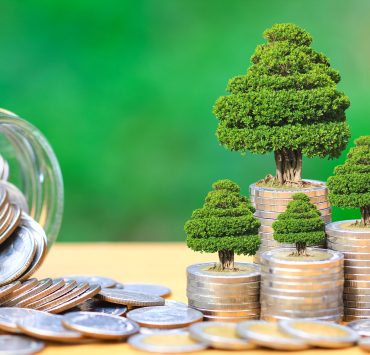 UAE tops regional green bond league tables with $10.7 billion