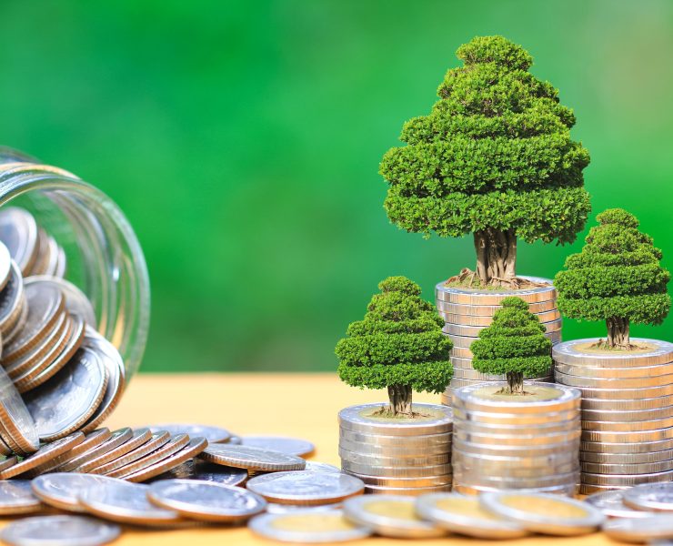 UAE tops regional green bond league tables with $10.7 billion