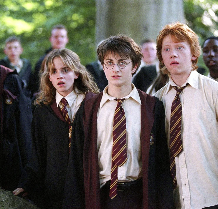 Harry Potter TV Series
