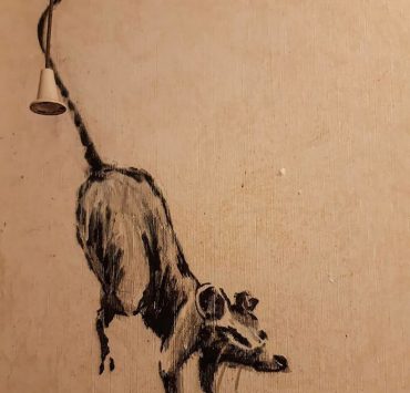 شاهد رسومات بانكسي على جدران الحمام من الحجر المنزلي