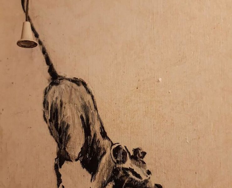 شاهد رسومات بانكسي على جدران الحمام من الحجر المنزلي