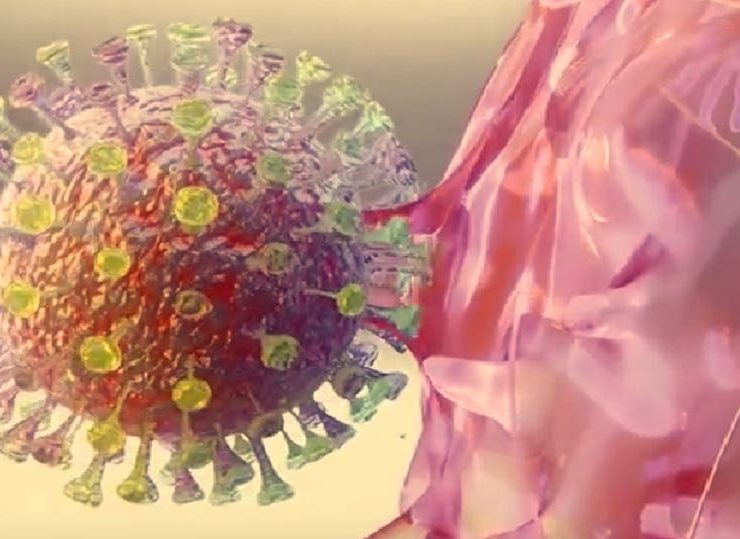 بالفيديو :علماء اكتشفوا نقطة ضعف بكورونا تجعله يخدع جهاز المناعة