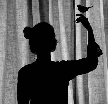 الشارقة للفنون تفتح باب المشاركة في «الشارقة وجهة نظر 8»