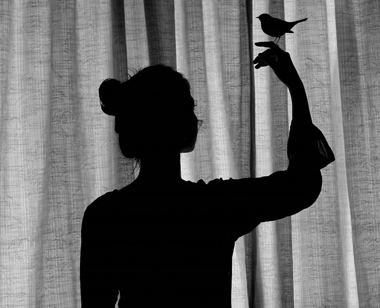 الشارقة للفنون تفتح باب المشاركة في «الشارقة وجهة نظر 8»