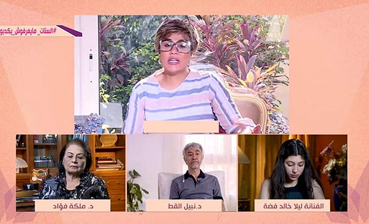 قناة «سي بي سي»المصرية تبدأ بث برامجها عبر «سكايب» من المنزل