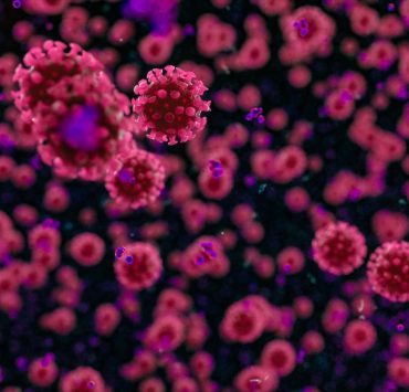 علماء يكشفون غموض كورونا