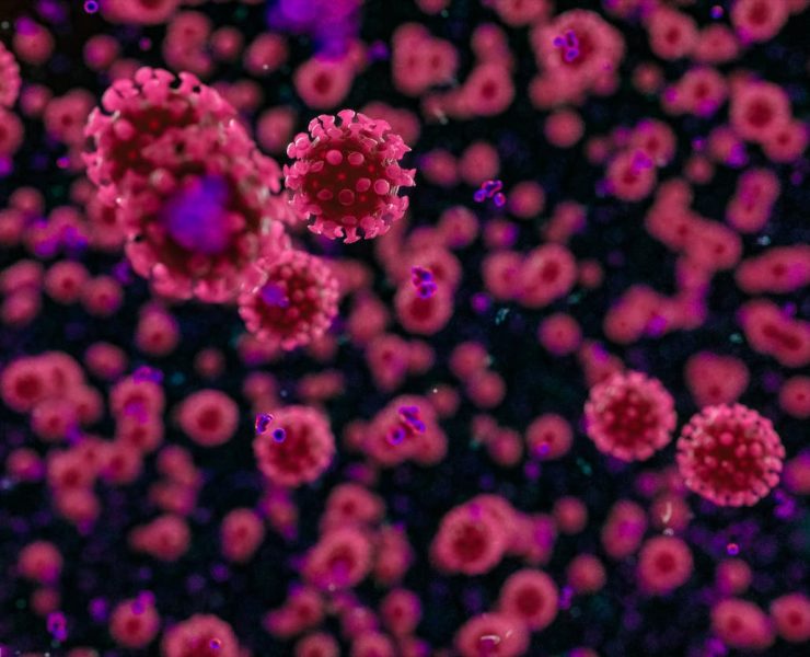 علماء يكشفون غموض كورونا