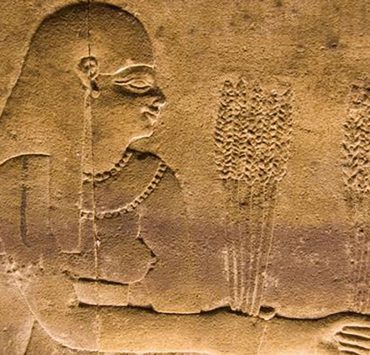 مترجم غوغل الجديد يفك شفرات اللغة المصرية القديمة