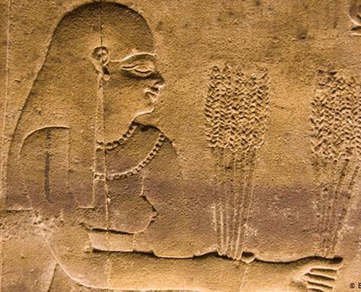 مترجم غوغل الجديد يفك شفرات اللغة المصرية القديمة