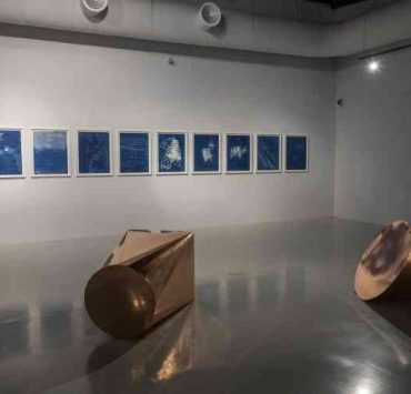 «ترتيب الأحجية».. حوار بصري ينبض بالجمال