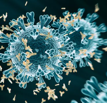 "باسبور المناعة".. آمال تتحطم على صخرة الأجسام المضادة