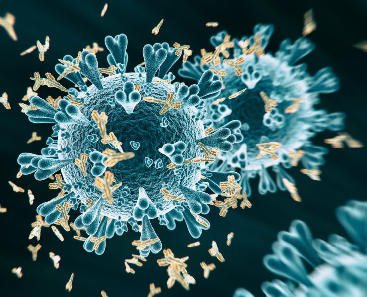 "باسبور المناعة".. آمال تتحطم على صخرة الأجسام المضادة