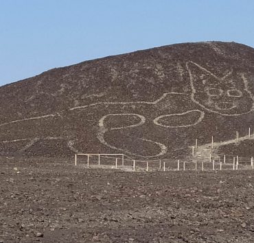 اكتشاف رسم عملاق لقط على تل نازكا في بيرو