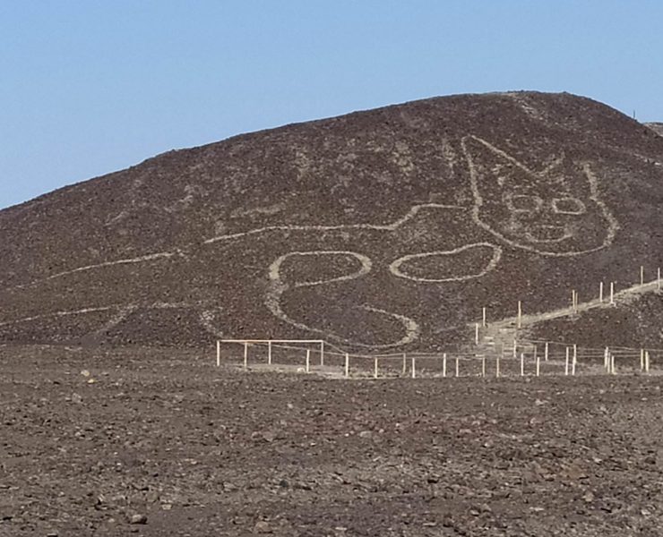 اكتشاف رسم عملاق لقط على تل نازكا في بيرو