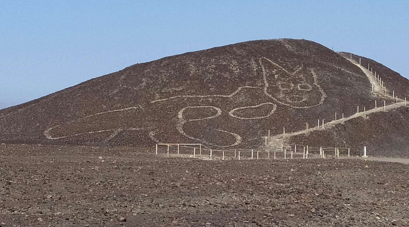 اكتشاف رسم عملاق لقط على تل نازكا في بيرو