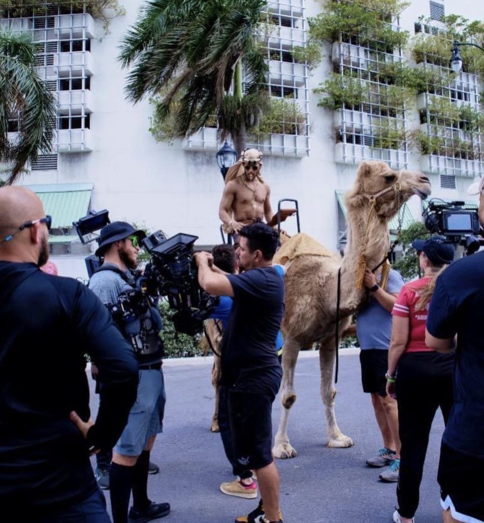 جمل عربي لأول مرة في شوارع ميامي.. والسبب محمد رمضان
