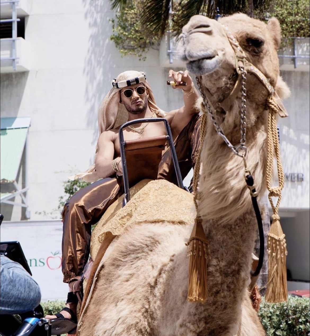 جمل عربي لأول مرة في شوارع ميامي.. والسبب محمد رمضان