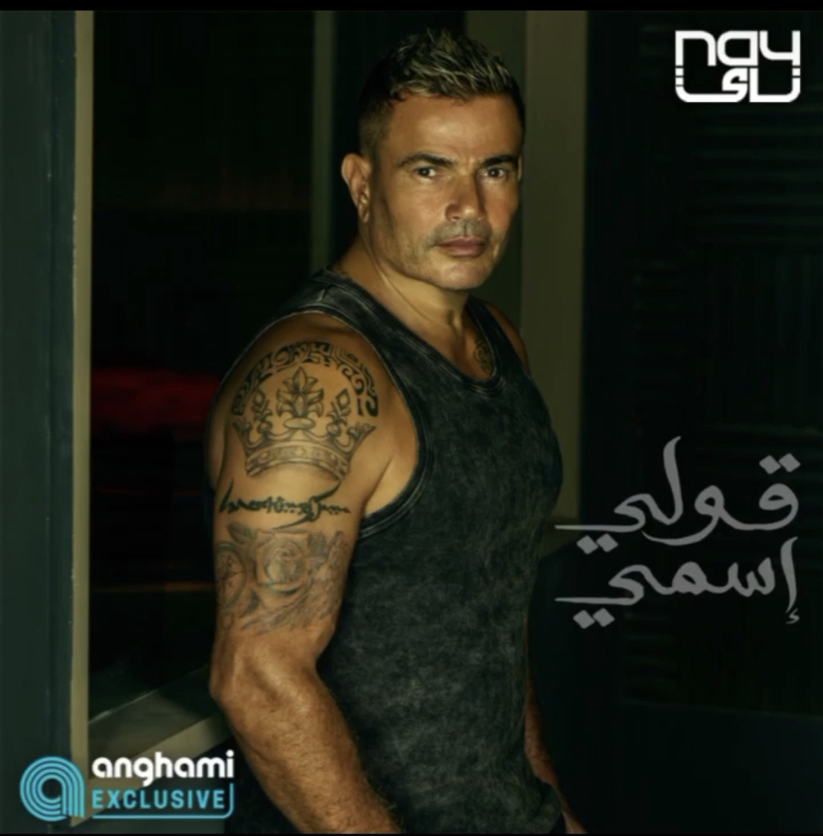 بعد تصدره التريند.. عمرو دياب يطرح " قولي اسمي"