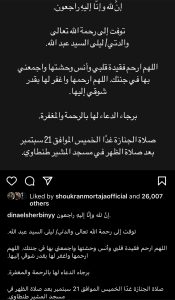 بعد خمسة أشهر على رحيل والدها.. الموت يفجع دينا الشربيني