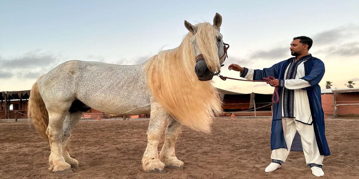 هل يستقر طليق بلقيس في المغرب؟-صور