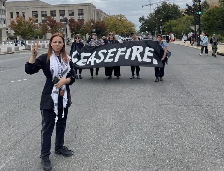 سوزان نجم الدين ترفع الصوت عالياً من أمام الكونغرس الأمريكي!