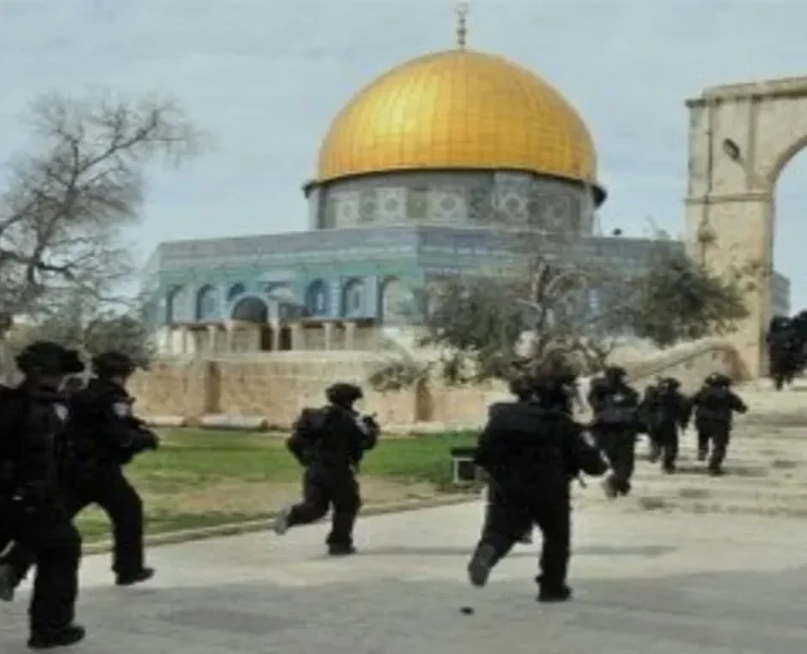 هكذا تضامن نجوم الفن بتركيا مع القضية الفلسطينية