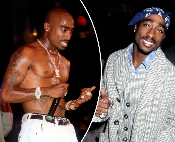 توباك شاكور