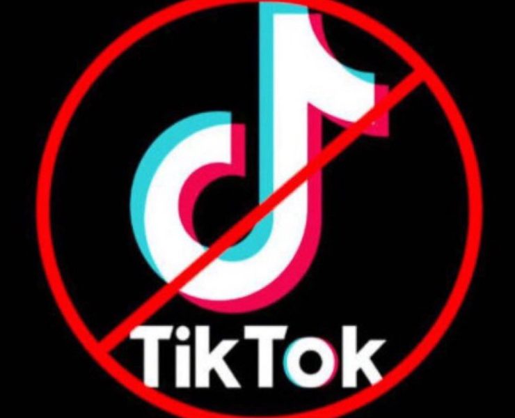 مشاهير عرب يقاطعون تيك توك!